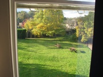 0656 - view of Luke's lawn from Rome