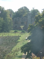 Cowdray ruins - through a glass darkly